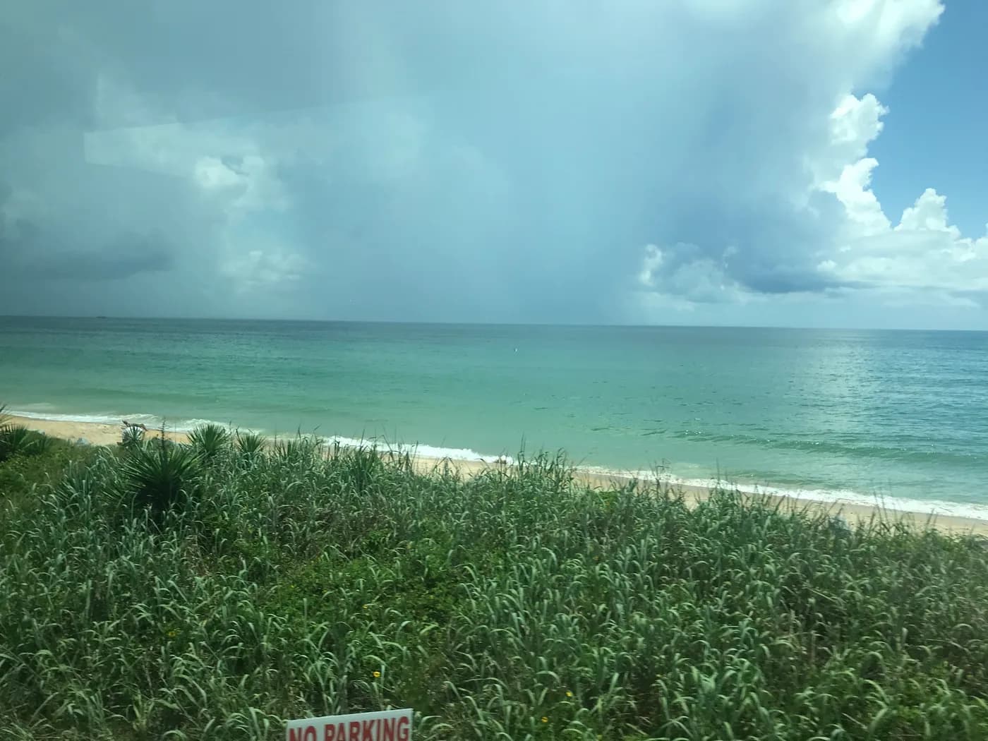 Coastal grasses, sand, and Atlantic waves beneath clouds at Flagler Beach